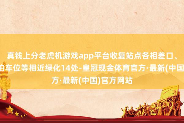 真钱上分老虎机游戏app平台收复站点各相差口、非生动车泊车位等相近绿化14处-皇冠现金体育官方·最新(中国)官方网站