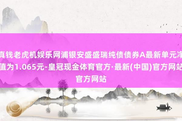 真钱老虎机娱乐网浦银安盛盛瑞纯债债券A最新单元净值为1.065元-皇冠现金体育官方·最新(中国)官方网站