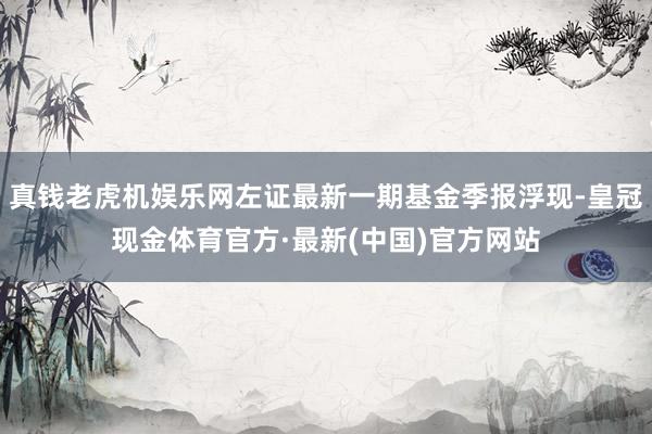 真钱老虎机娱乐网左证最新一期基金季报浮现-皇冠现金体育官方·最新(中国)官方网站