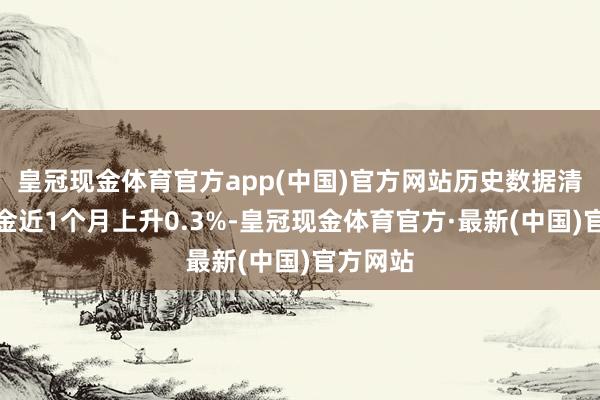 皇冠现金体育官方app(中国)官方网站历史数据清晰该基金近1个月上升0.3%-皇冠现金体育官方·最新(中国)官方网站