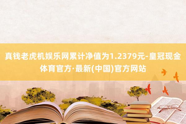 真钱老虎机娱乐网累计净值为1.2379元-皇冠现金体育官方·最新(中国)官方网站