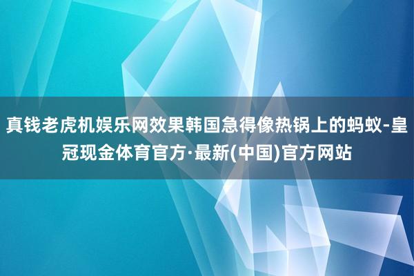 真钱老虎机娱乐网效果韩国急得像热锅上的蚂蚁-皇冠现金体育官方·最新(中国)官方网站