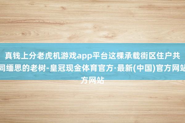 真钱上分老虎机游戏app平台这棵承载街区住户共同缅思的老树-皇冠现金体育官方·最新(中国)官方网站